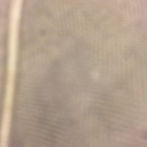 Meet your Posher, Mikey